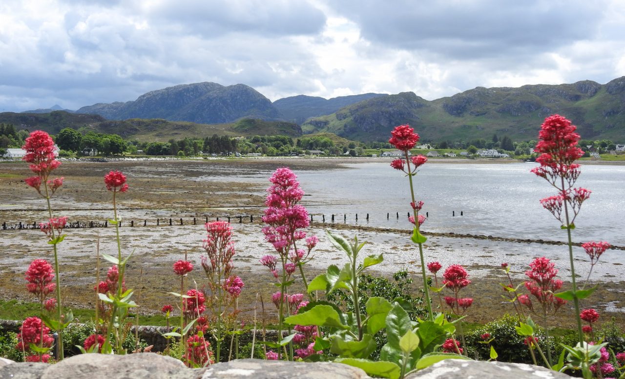 greyworldnomads-highlands-266