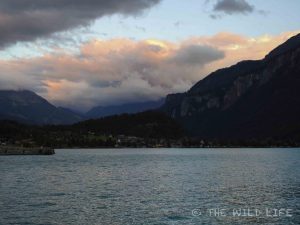 Brienz is a charming little town at the Lake Brienz embedded in the alps of Switzerlands Berner Oberland keeping its Swiss traditions like wood-carving alive.