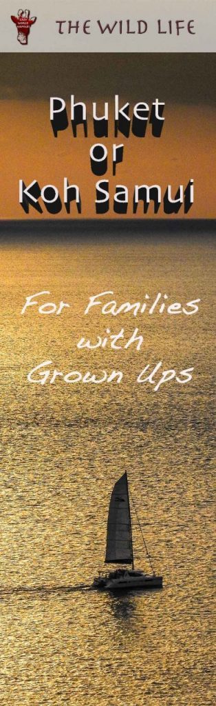 Thai holidays in Phuket or Koh Samui for families with grown ups. How to organise an unforgettable, happy family holiday on a tropical island in Thailand.