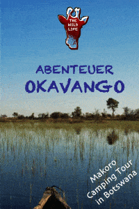 Mit dem Makoro Botswana entdecken. Eine Okavango Delta Safari mit Tipps für Okavango Delta Lodges und Aktivitäten. #okavango #okavangodelta #botswana #botsuana