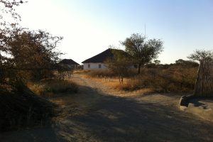 Camping in Botswana: Hitze und Trockenheit