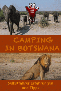Von Maun nach Kasane. Camping am Okavango Delta und Chobe National Park, Botswana, Selbstfahrer Safari mit Rundreise Tipps. #botswana #safari #afrika