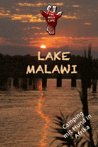 Camping mit Hund am Lake Malawi