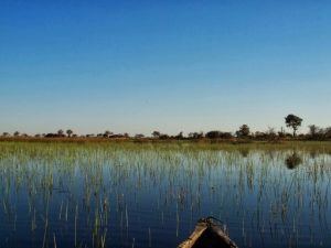 Makoro Trip and Lodges Botswana Okavango delta, camping.