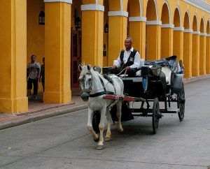 Horse Coach in Cartagena