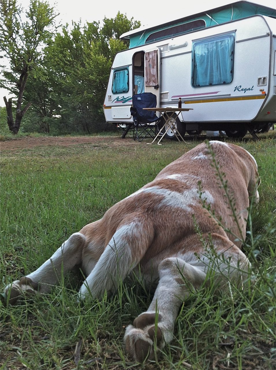 Camping mitten in der Karoo