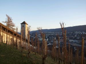 Swiss insider tips for a visit of Zürichon a budget