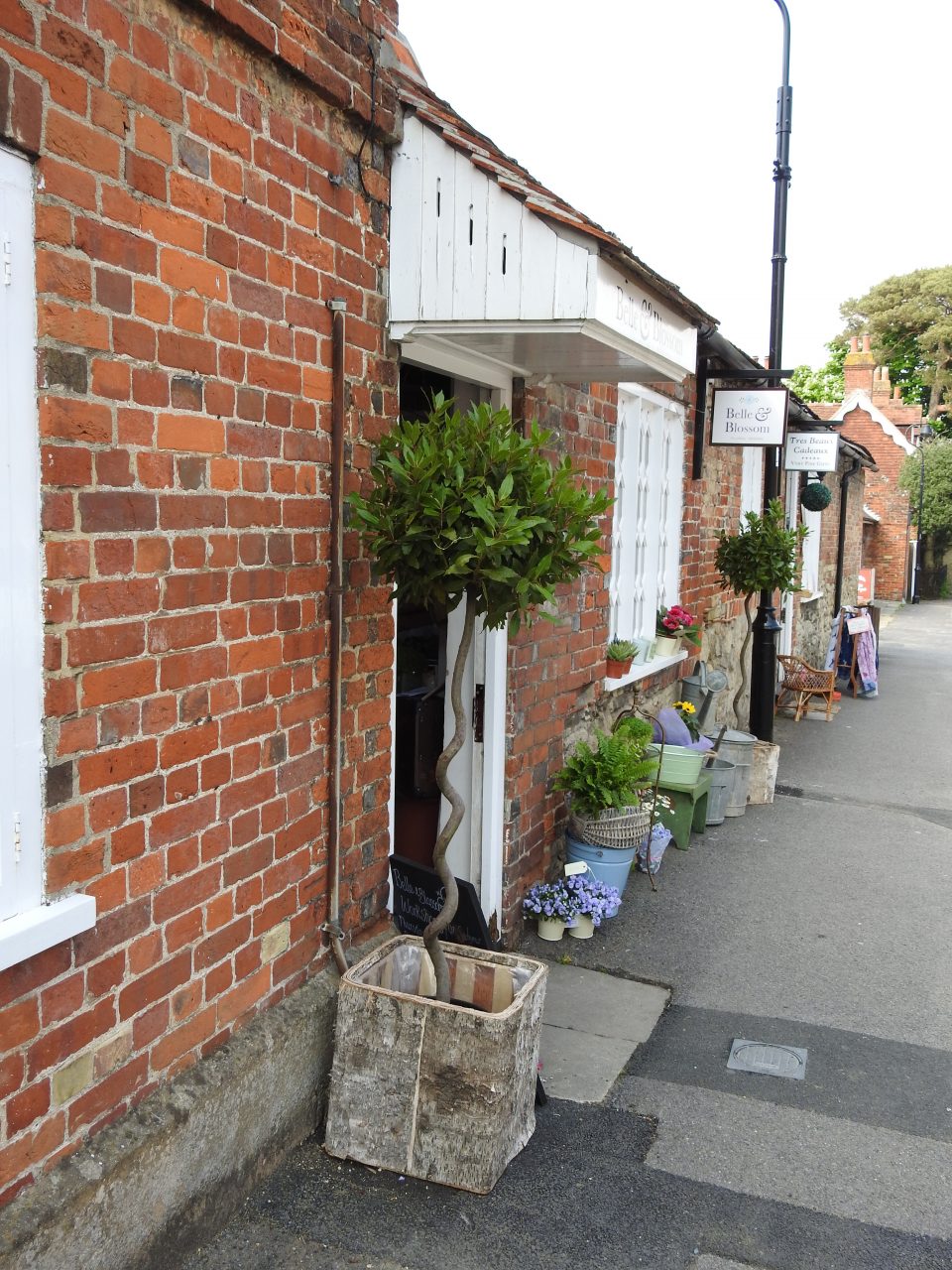 greyworldnomads-newforest-128