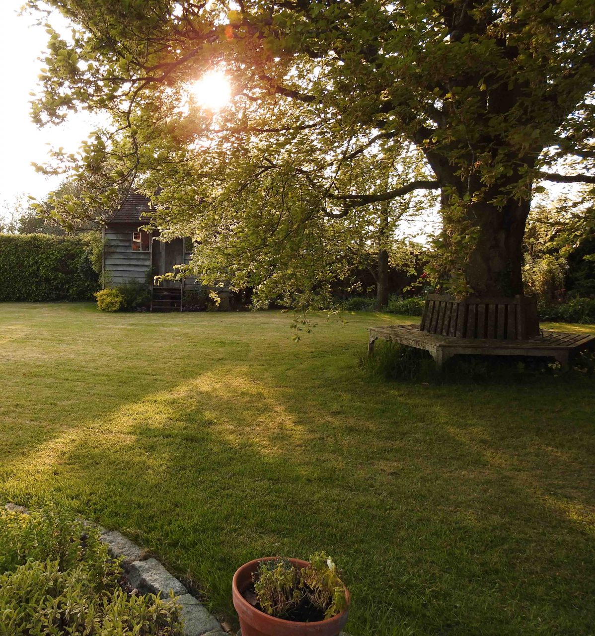 House &amp; Dog Sit in Swanmore, Hampshire