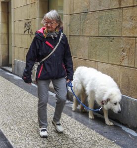 Dog-friendly San Sebastian Spain