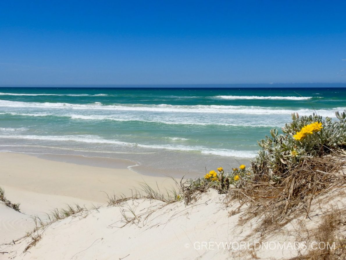 De Mond Nature Reserve, Western Cape, South Africa