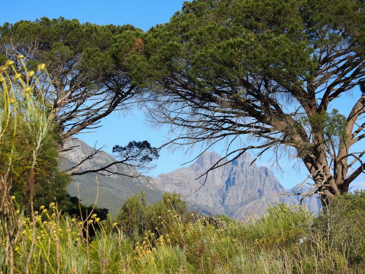 Jan Marais Nature Reserve, Stellenbosch, South Africa