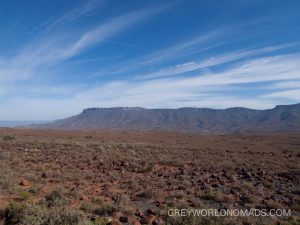 Various Antelopes, Mountain Zebras, some predators and the world highest concentrations of breeding black eagles populate the Karoo National Park in South Africa.