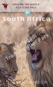 Kgalagadi Transfrontier Park (Kalahari Gemsbok National Park) - Best Game Park in South Africa - Botswana for lion and cheetah - sightings and birding.