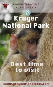 Which is the best time to visit Kruger National Park? Is the best place on earth for self drive and guided safaris rightly praised as year around destination?