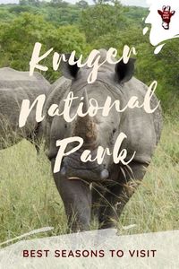 Find out in which seasons of the year in South Africa 's Kruger National Park offers most to wildlife enthusiasts, nature lovers and birders. - kruger national park south africa - kruger national park photography - kruger national park safari - kruger park south africa - south african birds kruger national park - safari kruger national park - safari south africa kruger national park - safari kruger park - krugerpark safari - parc kruger safari