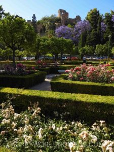 Garden in Malaga Spain