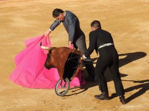 Flamenco, Spanish Horse Dressage and Bullfight - a delightful evening in Mijas, one of the most beautiful white villages at the Costa del Sol in Spain.