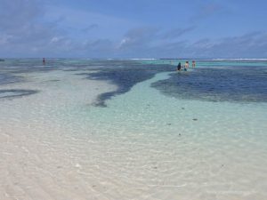 Schönste Strände, La Digue Seychellen Erfahrungsberichte