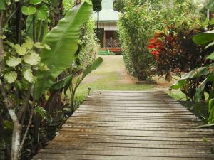 Seychellen Urlaub, Bois d'Amour