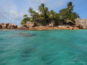 Ile Saint Pierre Seychelles