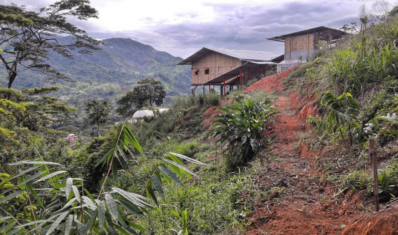 Join a permaculture site located in the Ecuadorian rain forest