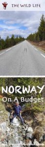 Travel Norway on a budget. Get our firsthand budget travel tips for traveling Norway in a nutshell without breaking the bank. #norway #VisitNorway #norwayonabudget