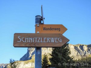 Brienz is a charming little town at the Lake Brienz embedded in the alps of Switzerlands Berner Oberland keeping its Swiss traditions like wood-carving alive.