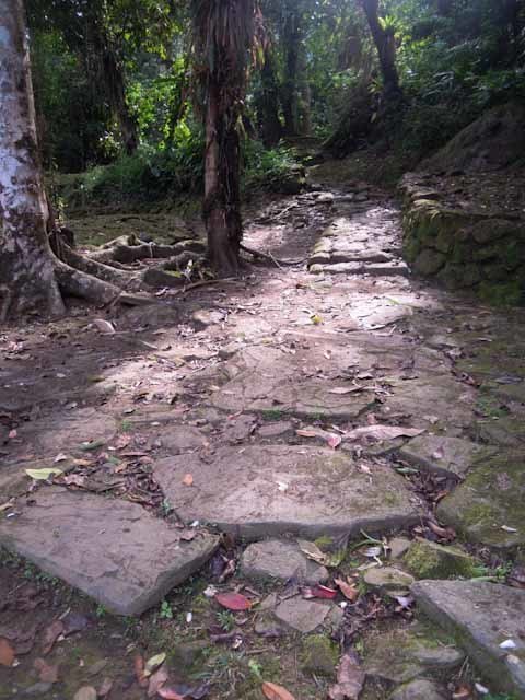 Ciudad Perdida Tour is a four to six days hiking trail of 46km round trip through the jungle of the Sierra Nevada Mountains in Colombia. The Ciudad Perdida Colombia Trek leads over 1200 ancient steps to the Lost City with the old name Teyuna which is believed to be 650 years older than Machu Picchu.