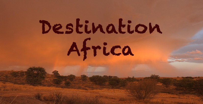 Destination Africa - Travel - Find the best African Countries to visit for nature and wildlife safari enthusiasts or for beach fans and paradise island seekers in the Indian Ocean.