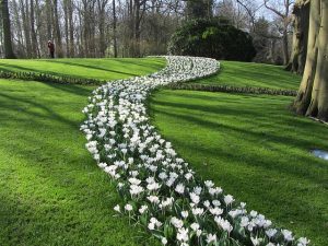 Blumenpark in Holland