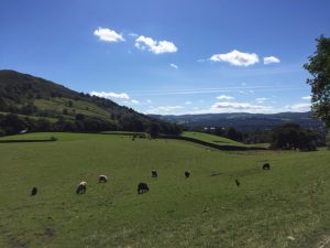 What to do at the Lake District National Park