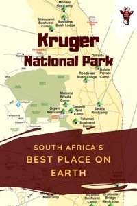 Visiting Kruger National Park, best place on earth? Here you find all you need to know for your Kruger National Park Safari. Visiting Kruger National Park, best place on earth? Here you find all you need to know for your Kruger National Park Safari. kruger national park south africa safari - kruger national park south africa camps - kruger national park south africa lodges - kruger national park south africa tips - kruger national park wildlife - kruger national park lodges safari - kruger national park lodges camps - kruger park south africa safari - kruger park south africa lodges - kruger park lodge south africa - kruger park safari - south africa safari kruger - south africa safari lodge travel planner - south africa travel safari trips.