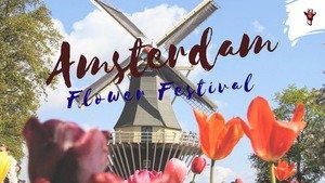 Amsterdam Flower Festival, Tulip Fields Holland, Tulip Fields Netherlands