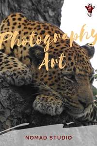 The Photography Art Nomad Studio with breathtaking photos of wildlife and nature, tips for the amateur photographer and the best camera for safari - art photography wildlife - photography art - wildlife photography - nature photography - best camera for beginners - best camera for safari - safari photography #amateurphotographer #wildlifephotography #safariphotography