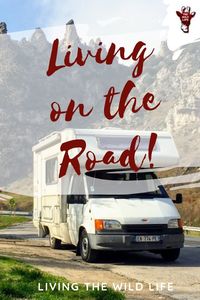 Full-time RV Living is a dream that can become reality. Find out about RV Living Cost and camper van life on different continents, and RVShare - rv living full time - rv living full time rv organization - rv living organization travel trailers - rv living organization motorhome - rv living organization 5th wheels - rv living for beginners - rv living for seniors - rv hacks travel trailers - rv hacks rv organization - rv hacks rv living - rv hacks rv living tips and tricks - rv hacks rv living good ideas - rv hacks rv living rv organizationrv share tips - camper life rv living - camper life rv living travel trailers - camper life rv living motorhomecamper life rv living rv organization