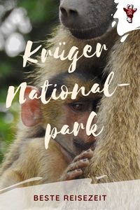 Erfahre, zu welchen Jahreszeiten der Krüger Nationalpark in Südafrika Wildtierfreunden, Naturliebhabern und Vogelbeobachtern das Beste bietet. - krüger national park - krüger safari - safari krüger nationalpark